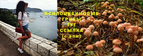первитин Алзамай